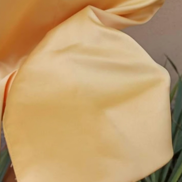 Yellow Formal Midi Dress - Picture 14 of 15